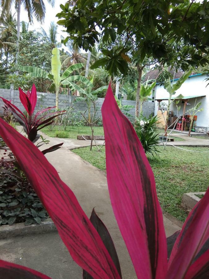 Safsia Homestay Toyapakeh Exterior photo